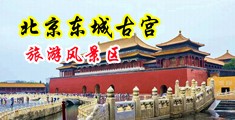 日中国特黄美女操逼中国北京-东城古宫旅游风景区